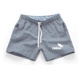 Pumba  Short