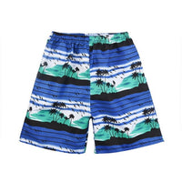 Fashion Printed Board Shorts